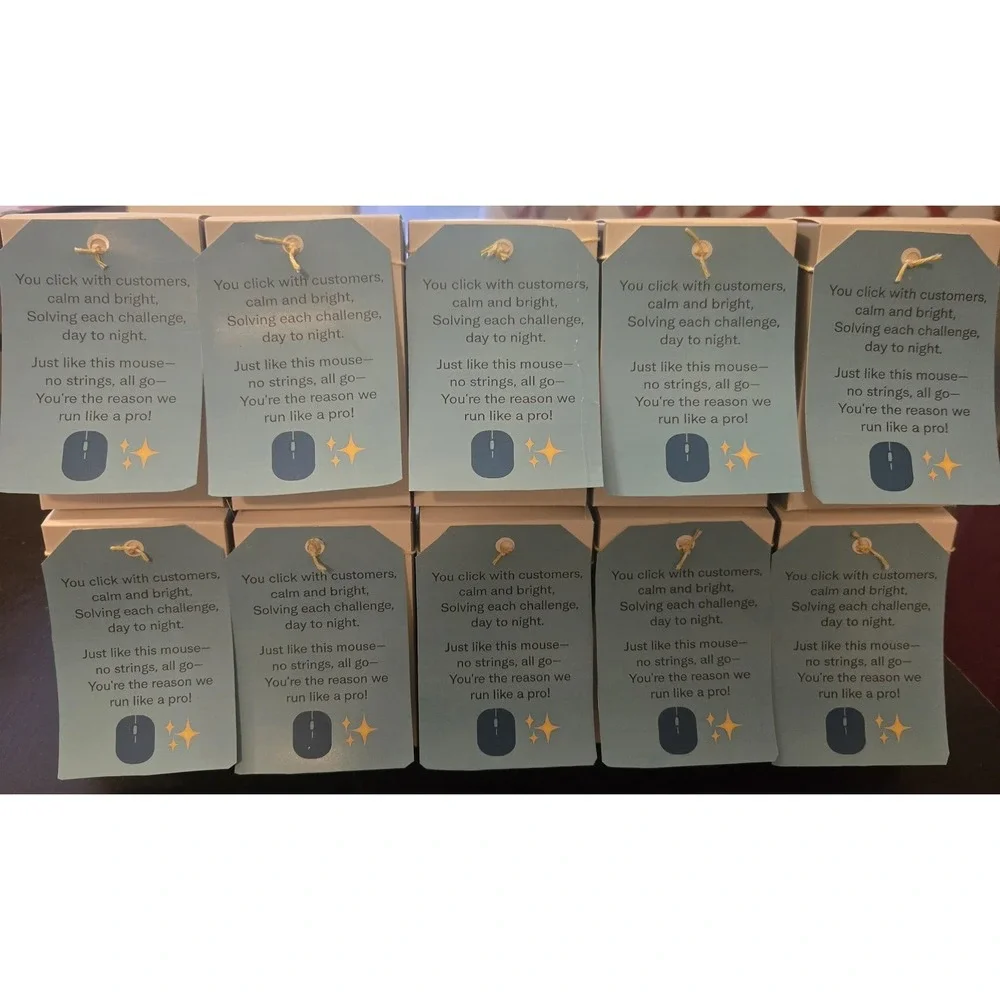 EMPLOYEE APPRECIATION GIFT- BULK Of 10‎ Seenda Mint Green LED Wireless Mouse